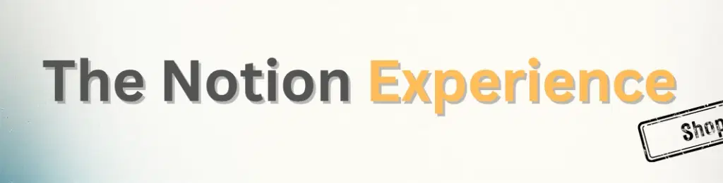 The Notion Experience