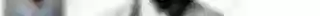 Ink Oil Sketch Artist FX Photoshop Action (12).jpg