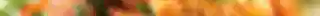 Retro Color Looks Photoshop Actions (10).jpg