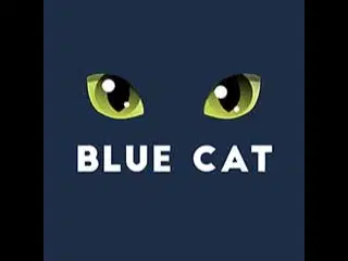 BlueCat logo