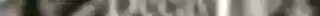 Professional Lighroom presets: Decay