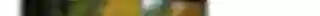Video Call Backgrounds: Interior, Exterior Views