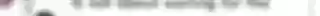 il_fullxfull.6934832874_46mh.webp