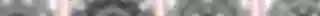 il_fullxfull.6939966448_lazw.webp