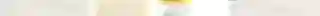 28 Professional Resume - Canva