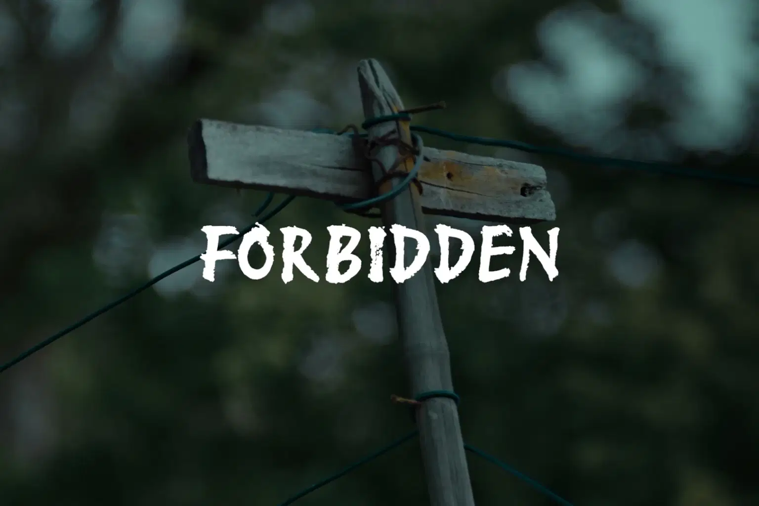 HR011 FORBIDDEN_cover.png