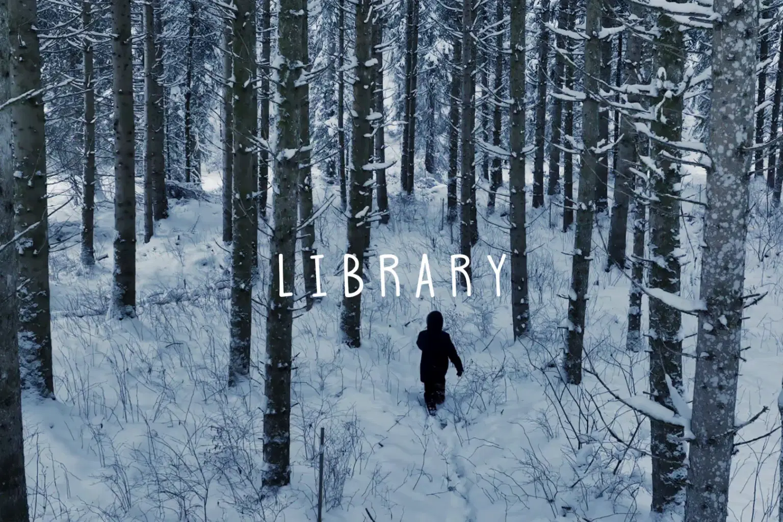 AY010 Library_cover.png