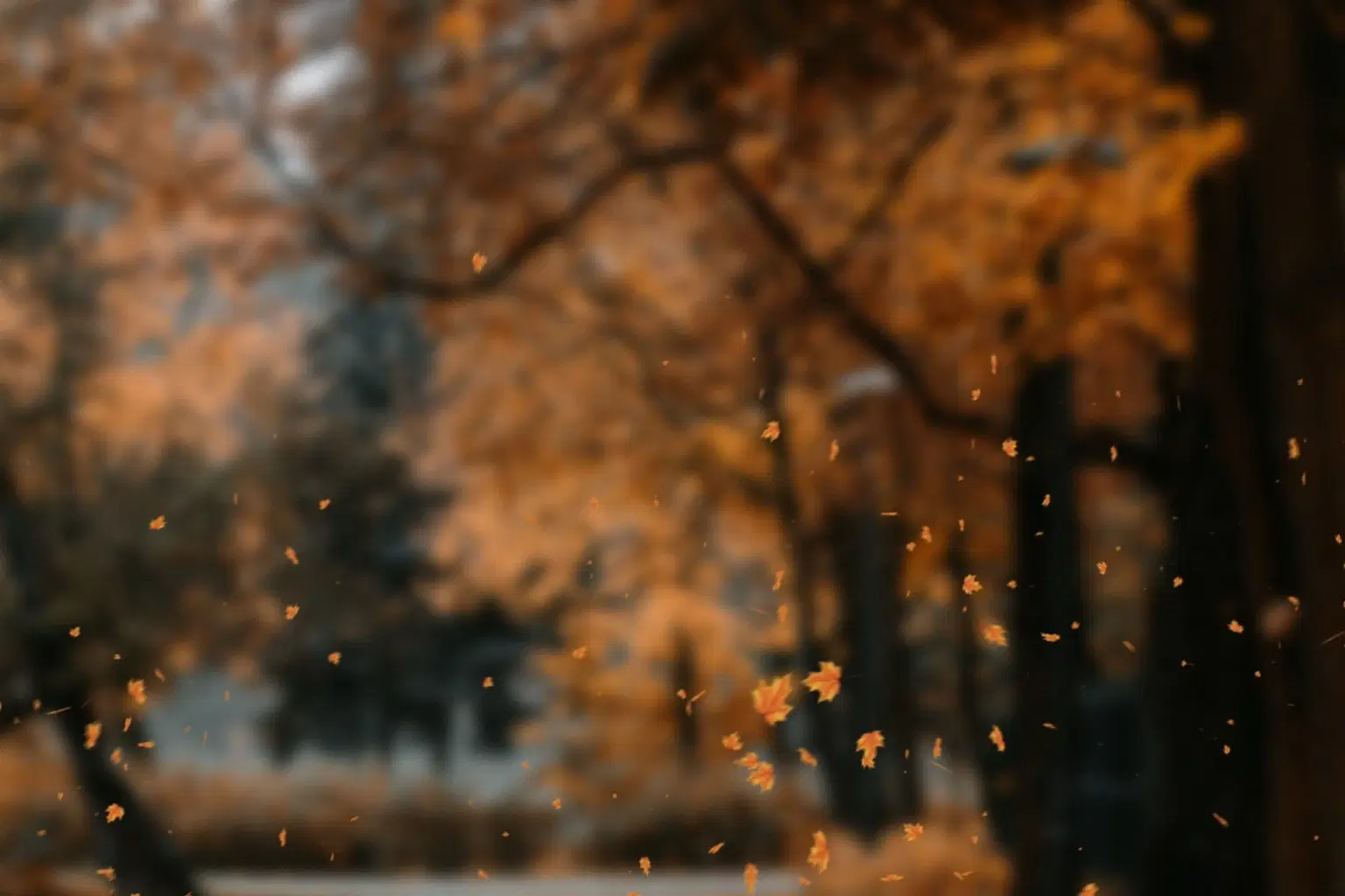 DP022 Autumn Tint_cover.png