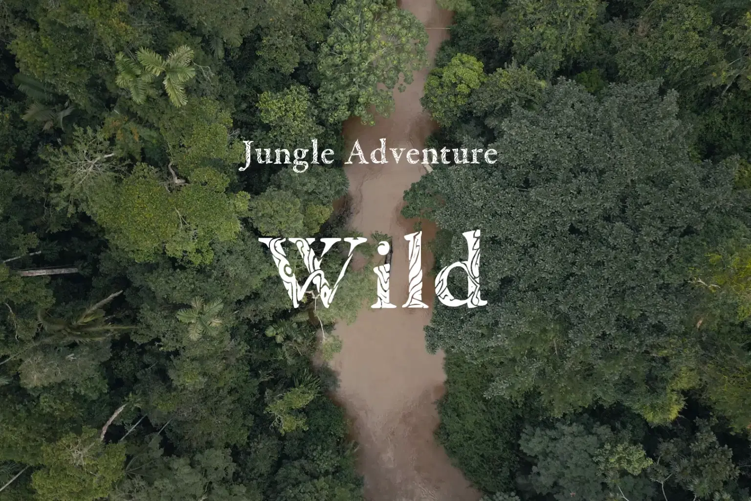 JA003 Wild_cover.png