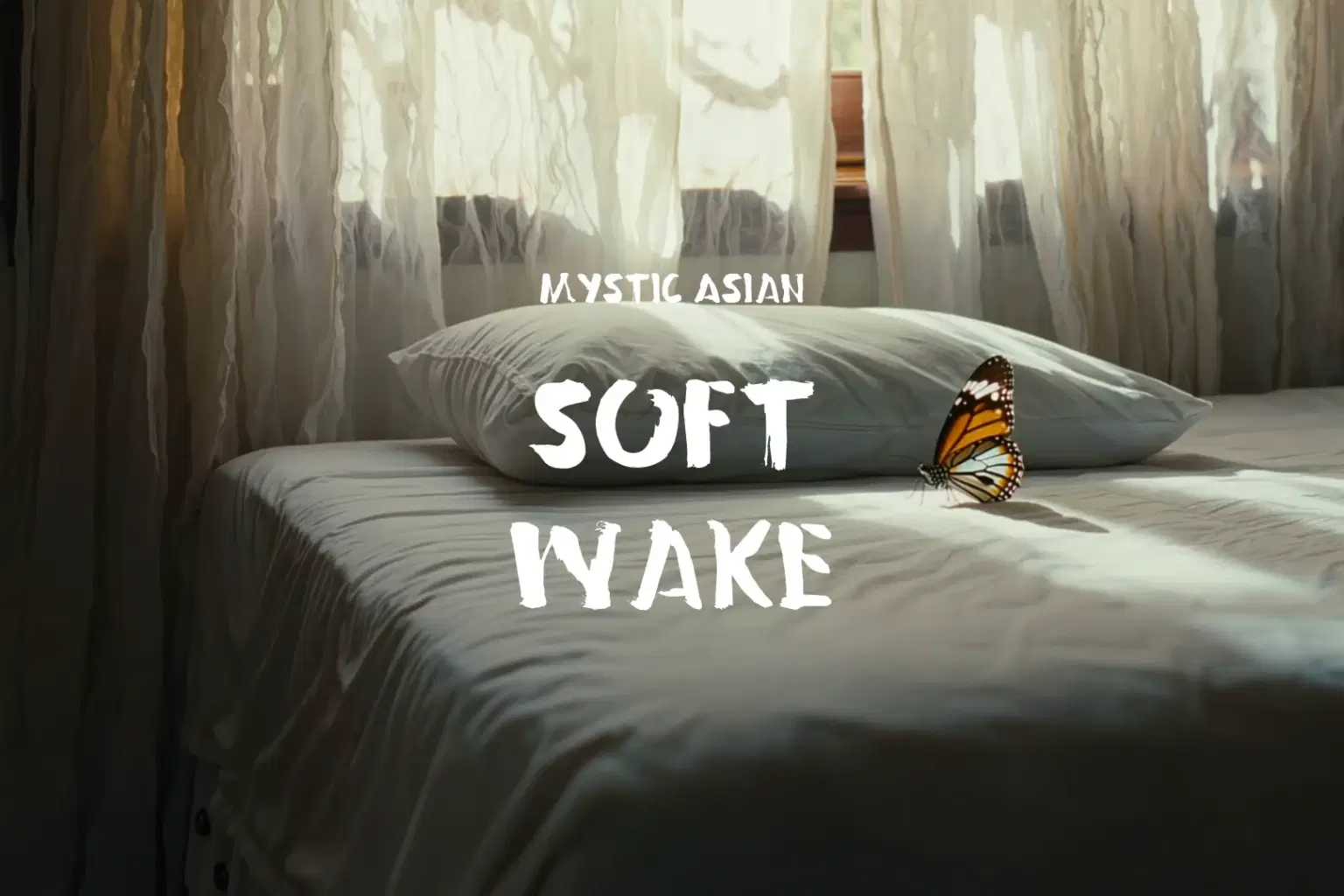 TJ058 Soft Wake_cover.png