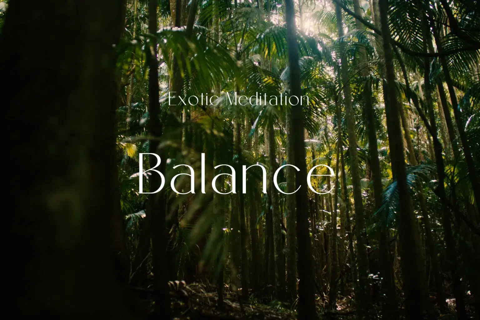 AY064 Balance_cover.png