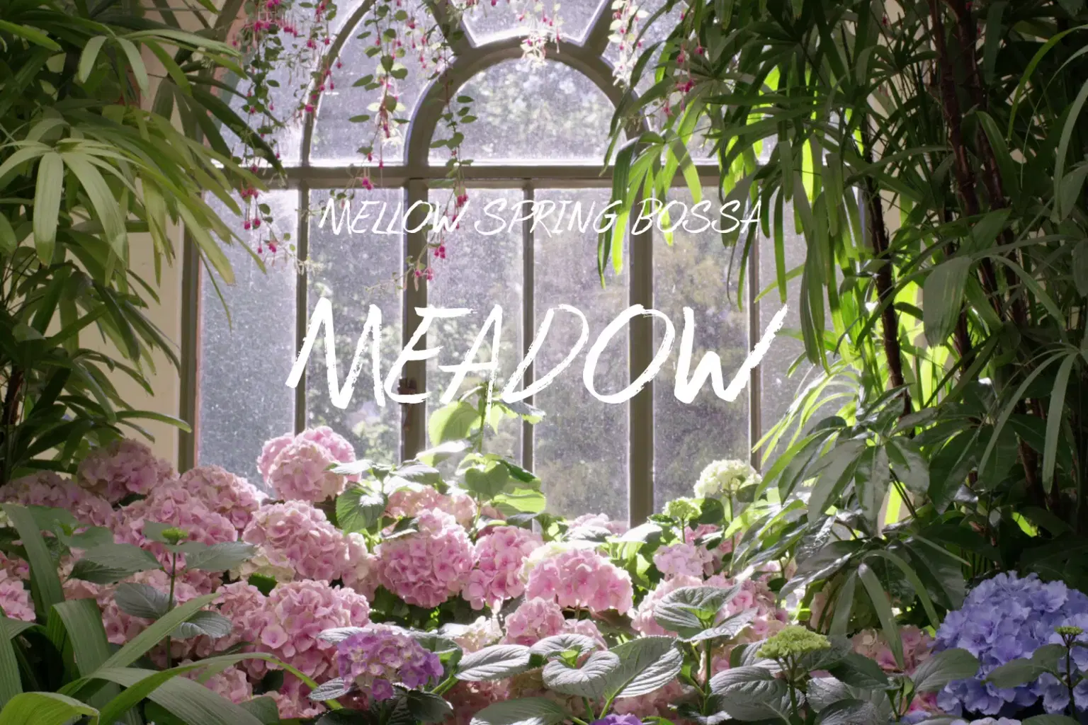 PK056 Meadow_cover.png