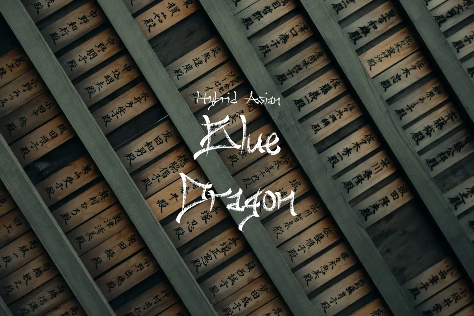 AY085 Blue Dragon_cover.png