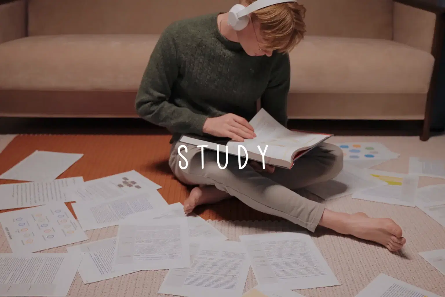 AY006 Study_cover.png