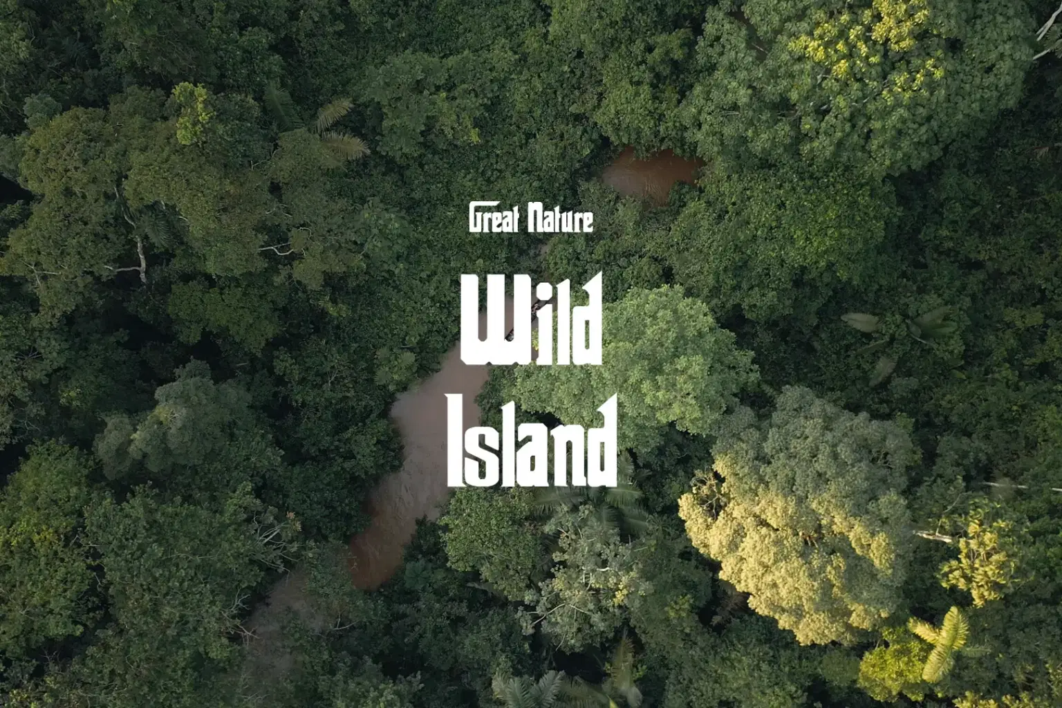 DB011 Wild Island_cover.png