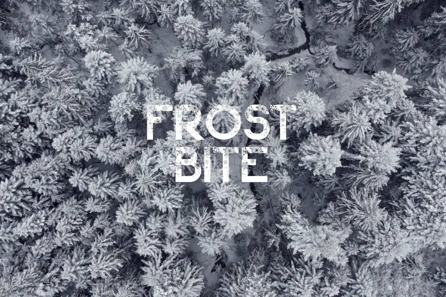 SH023 FROST BITE_cover.png