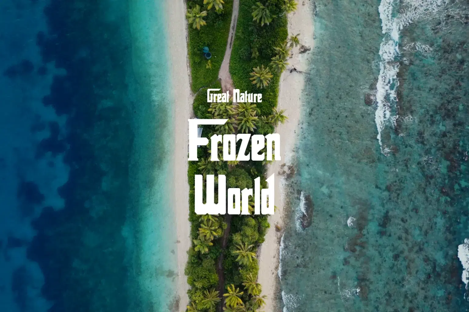 DB012 Frozen World_cover.png