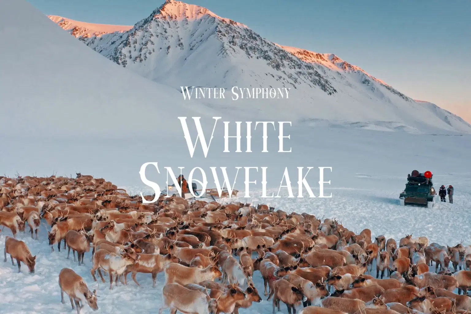 HN026 White Snowflake_cover.png