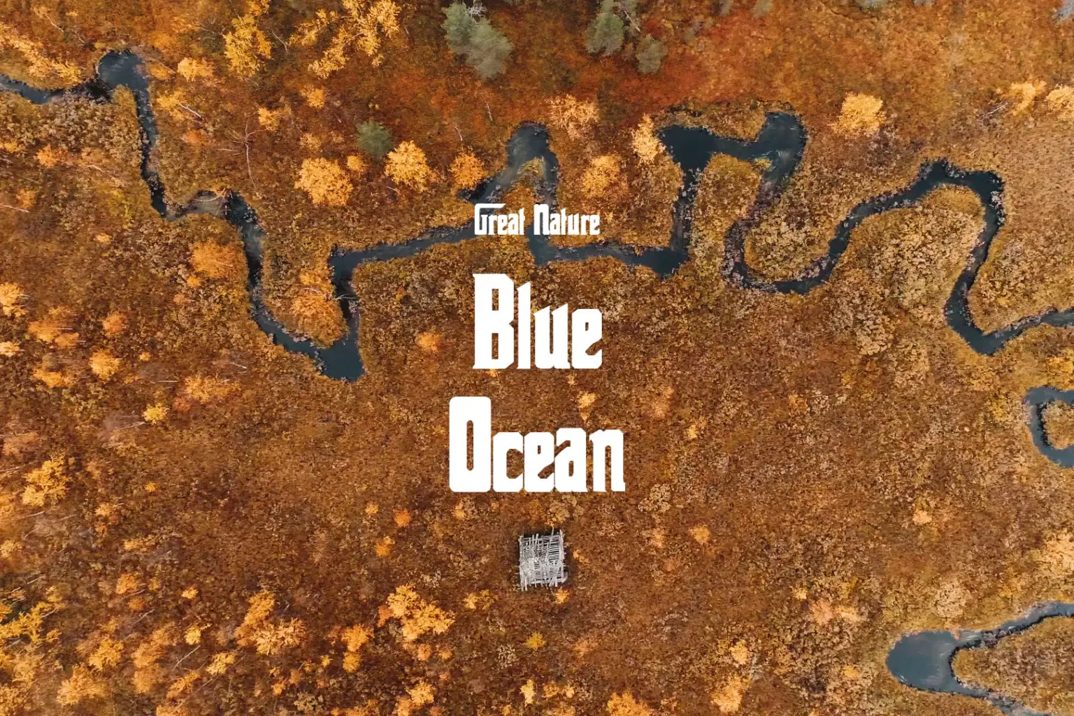DB016 Blue Ocean_cover.png