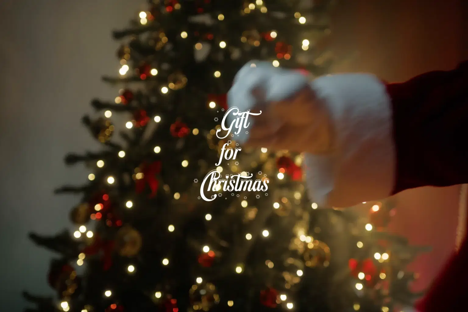 JZ046 Gift for Christmas_cover.png