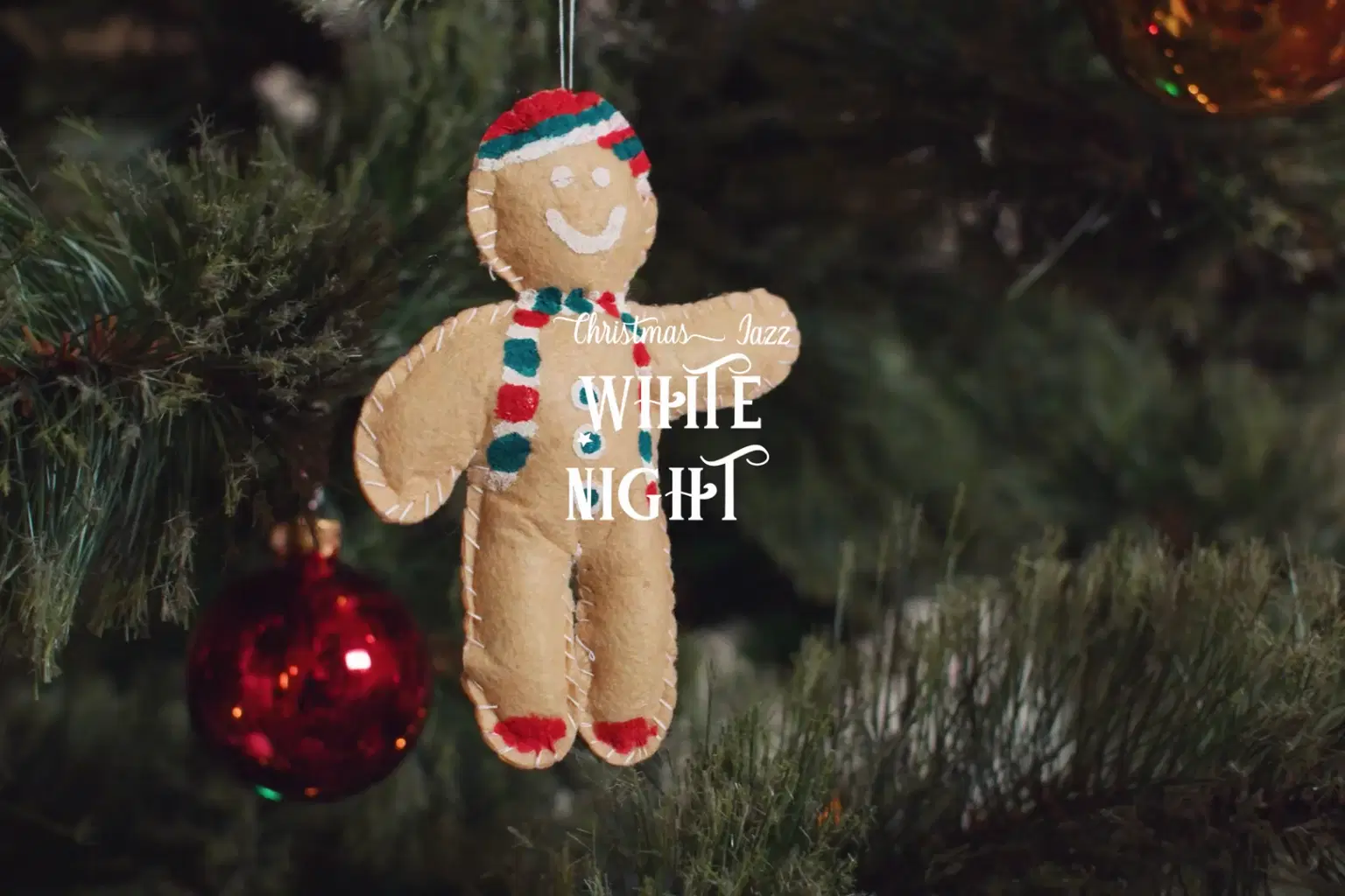 JZ024 White Night_cover.png