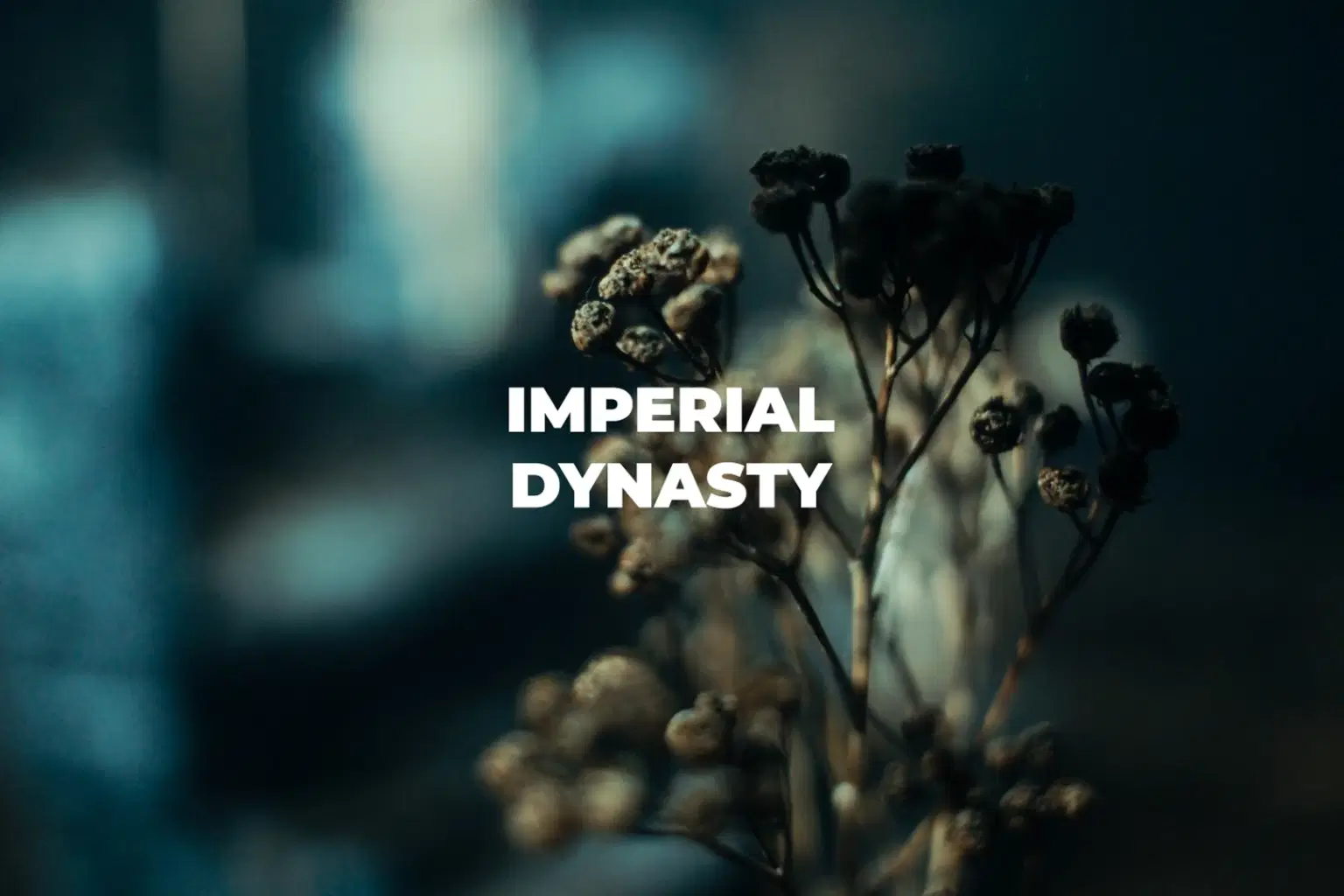 ND010 IMPERIAL DYNASTY_cover.png