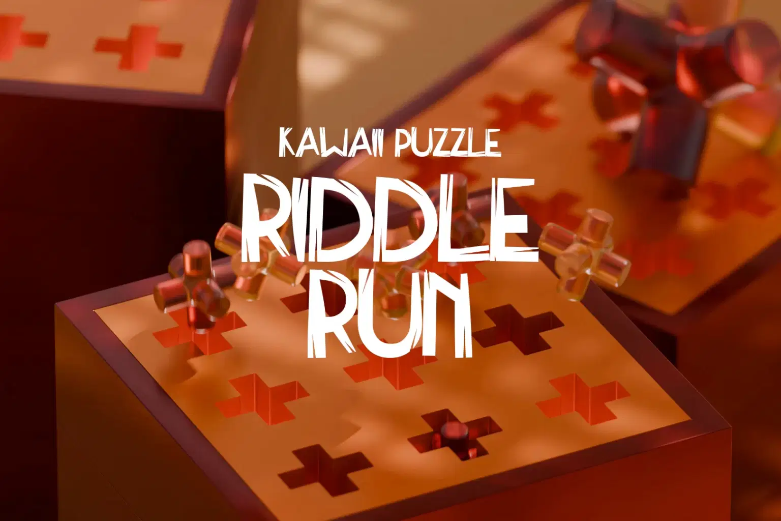 WZ024 Riddle Run_cover.png