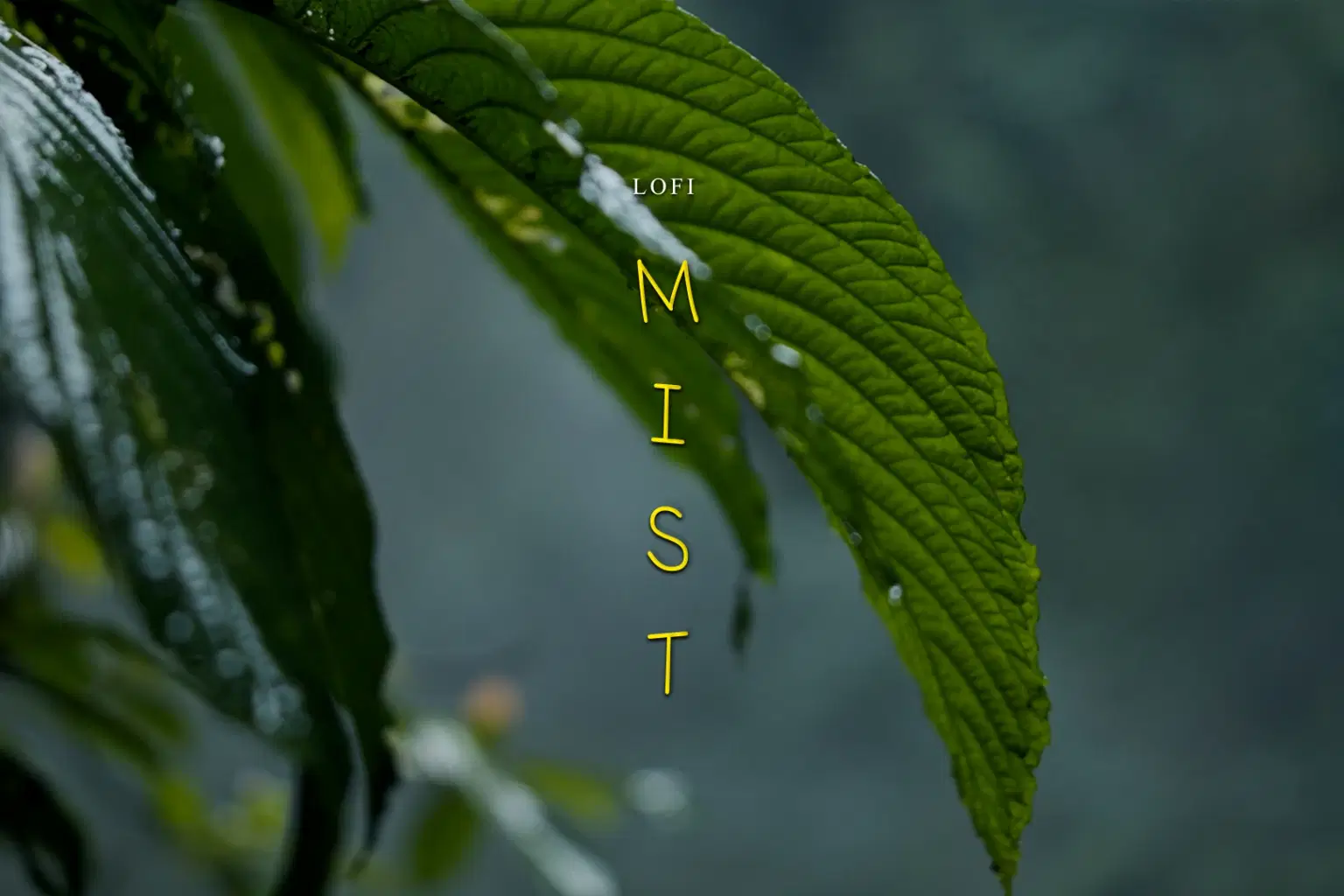 LF051 LoFi Mist_cover.png