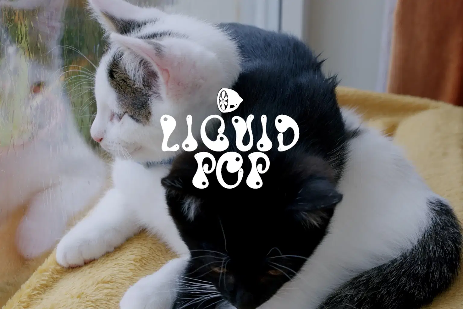 CM025 LIQUID POP_cover.png