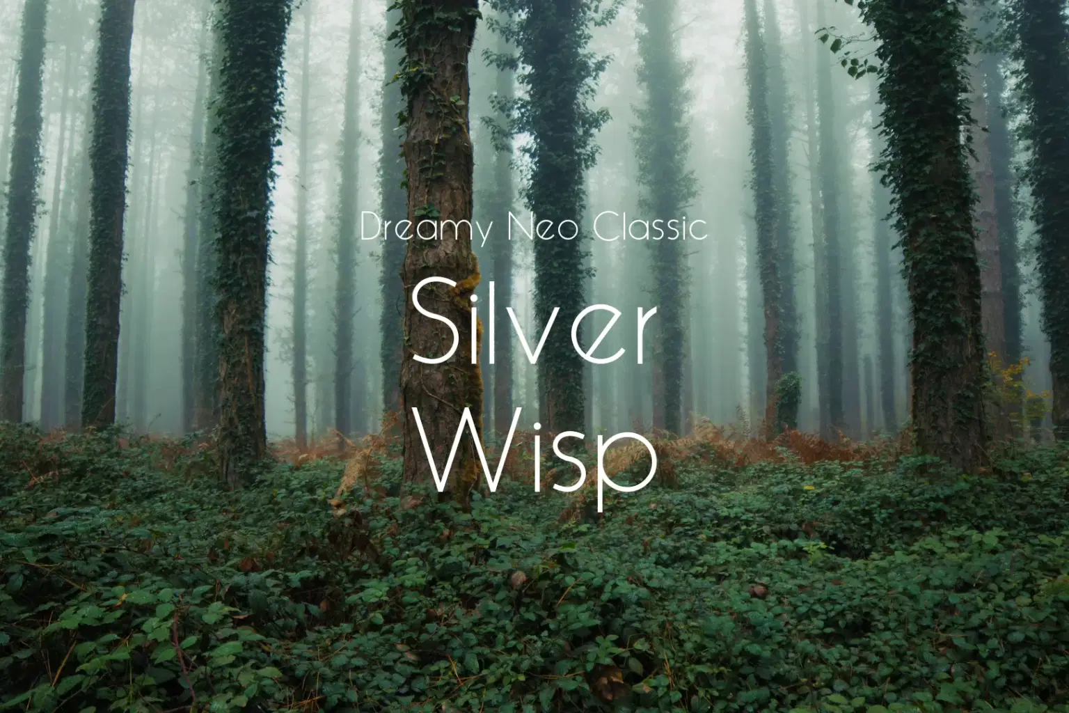 PK061 Silver Wisp_cover.png