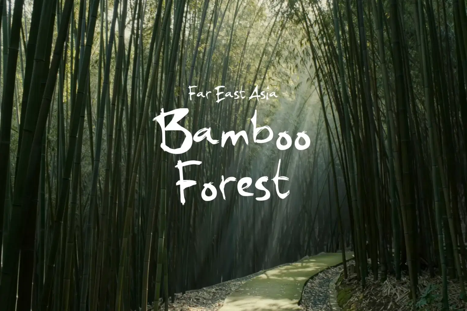 HN102 Bamboo Forest_cover.png