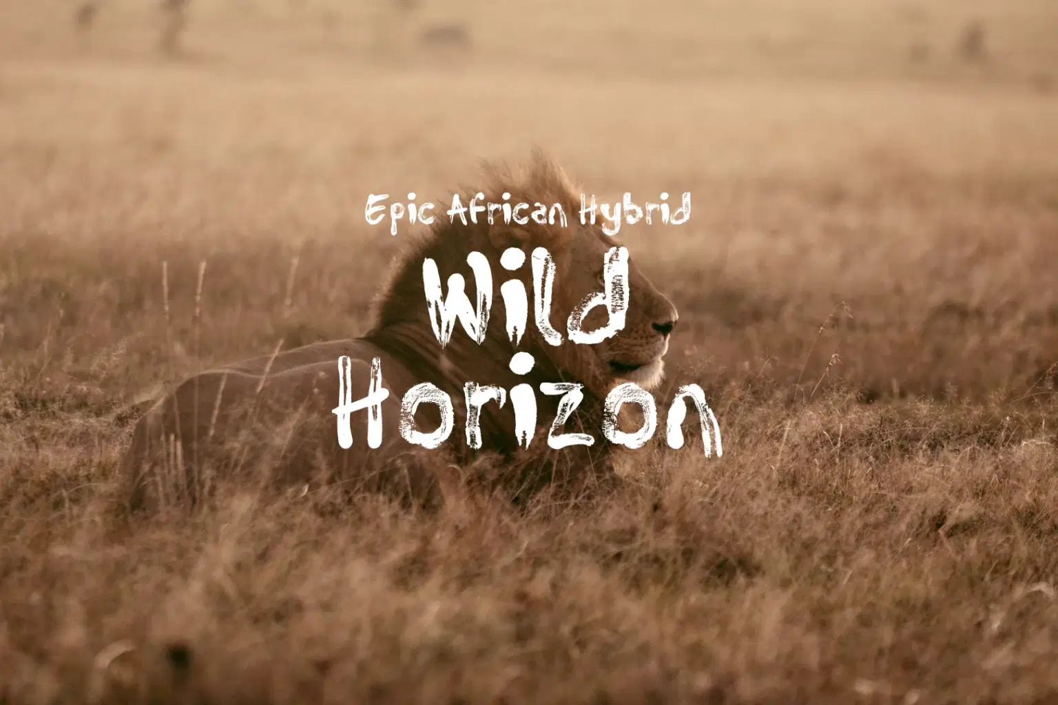 AF005 Wild Horizon_cover.png