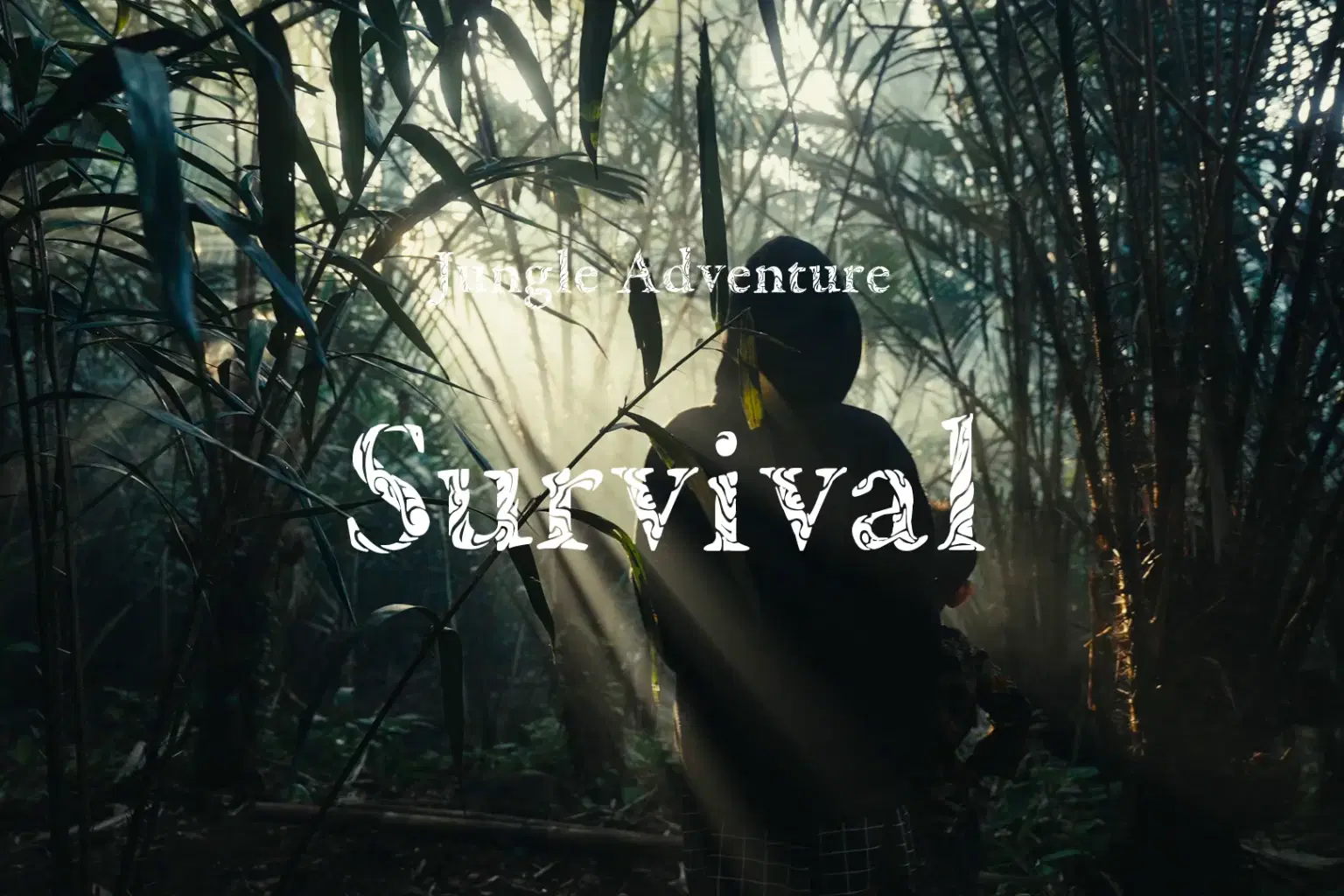 JA004 Survival_cover.png
