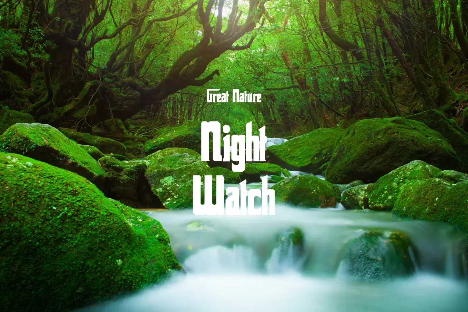 DB017 Night Watch_cover.png