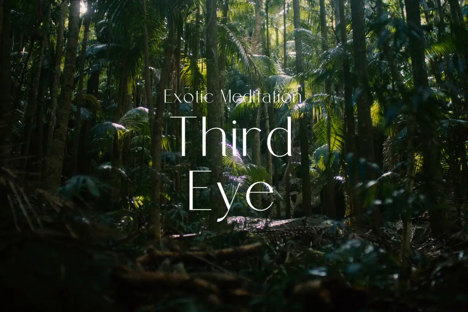 AY067 Third Eye_cover.png