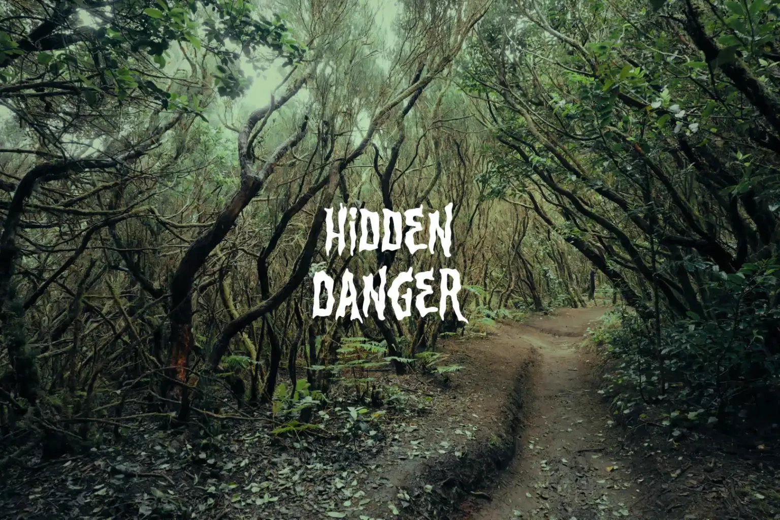 AY018 Hidden Danger_cover.png