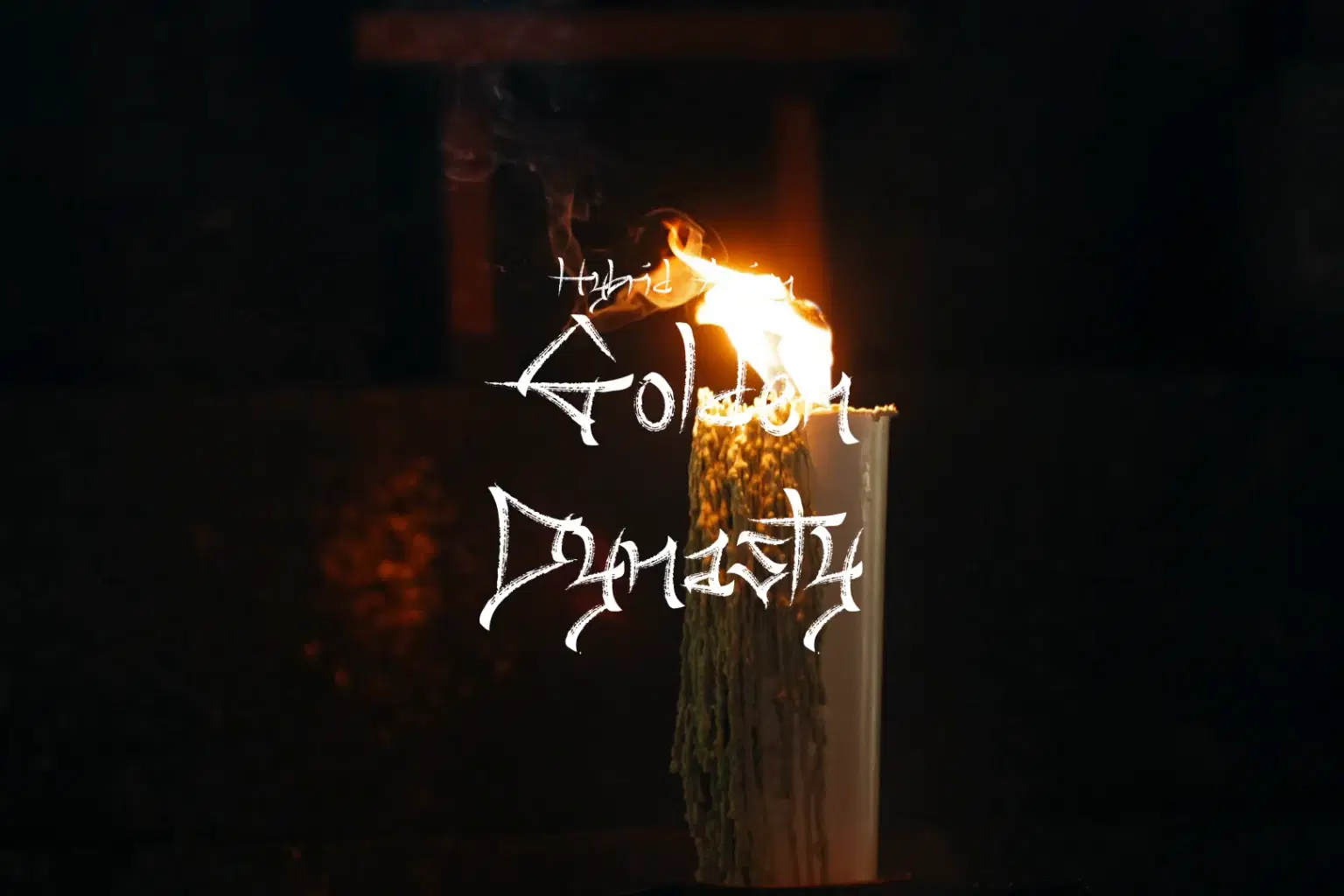 AY082 Golden Dynasty_cover.png