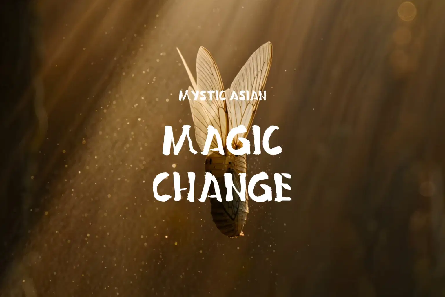 TJ057 Magic Change_cover.png
