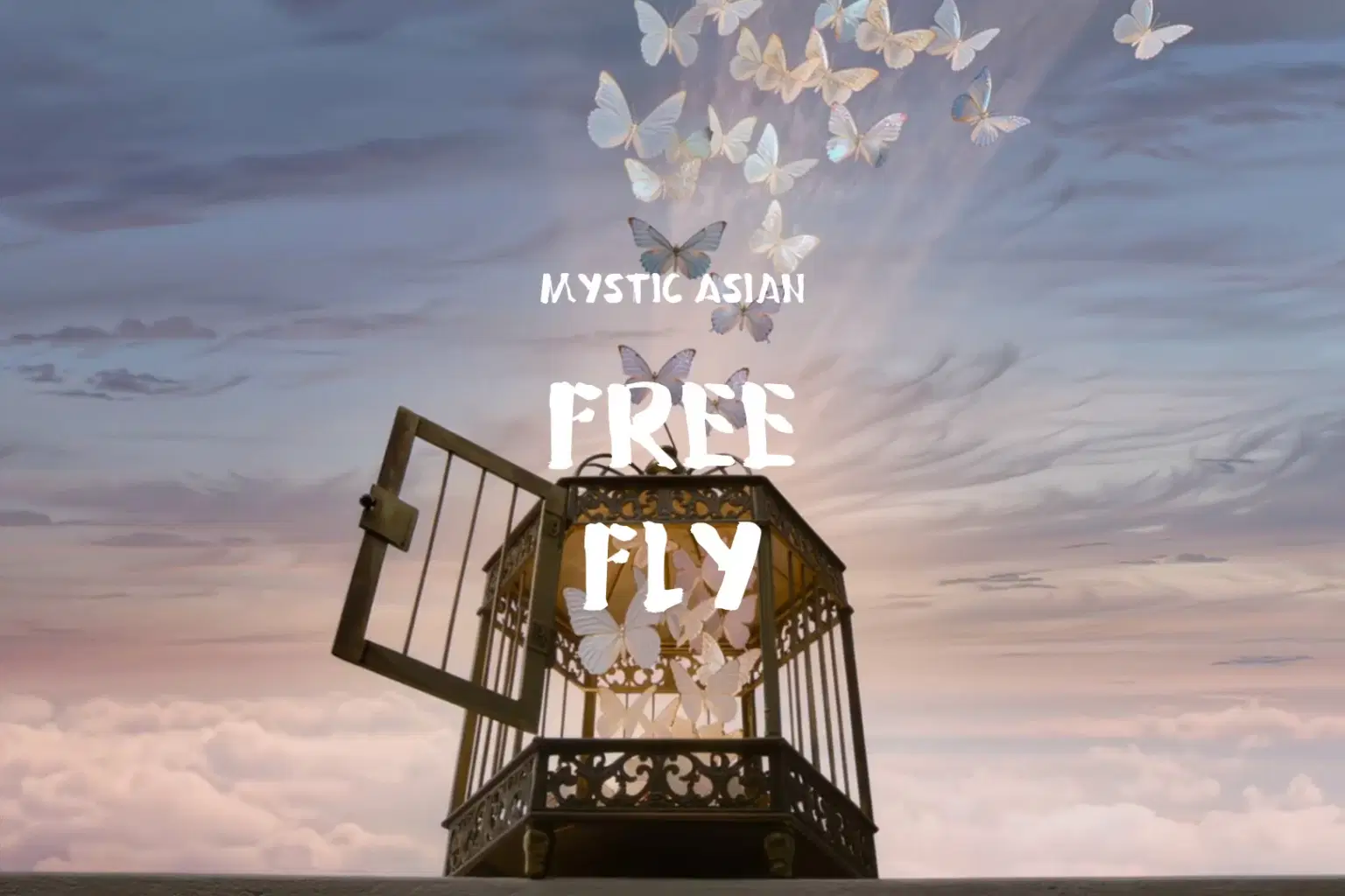 TJ052 Free Fly_cover.png