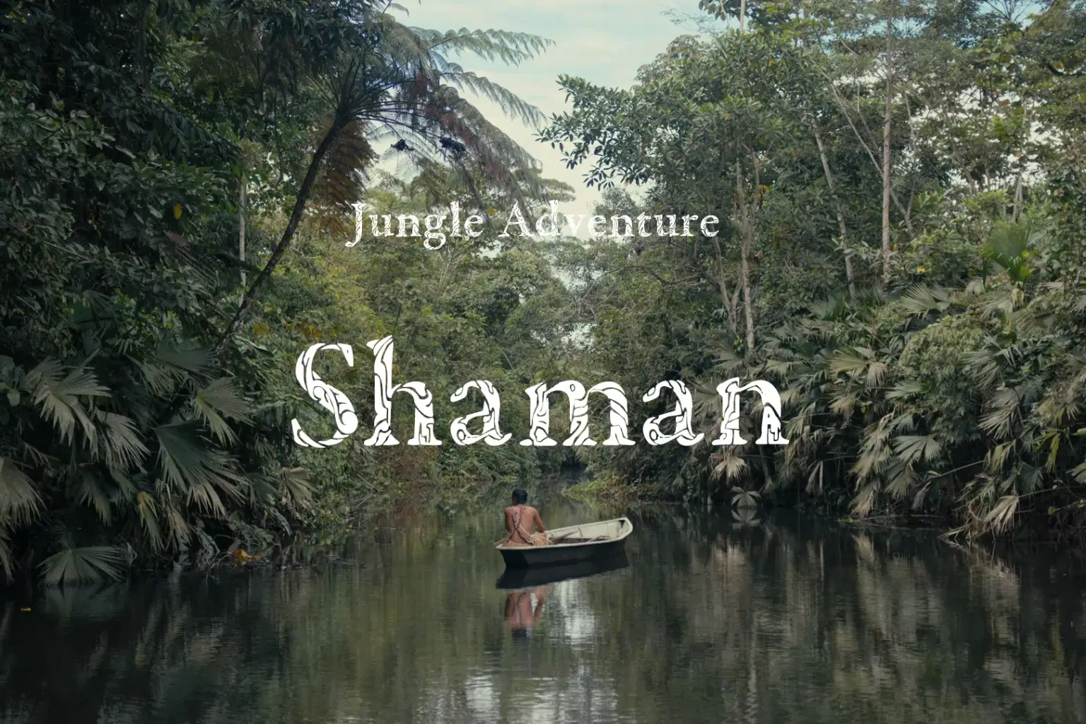 JA008 Shaman_cover.png