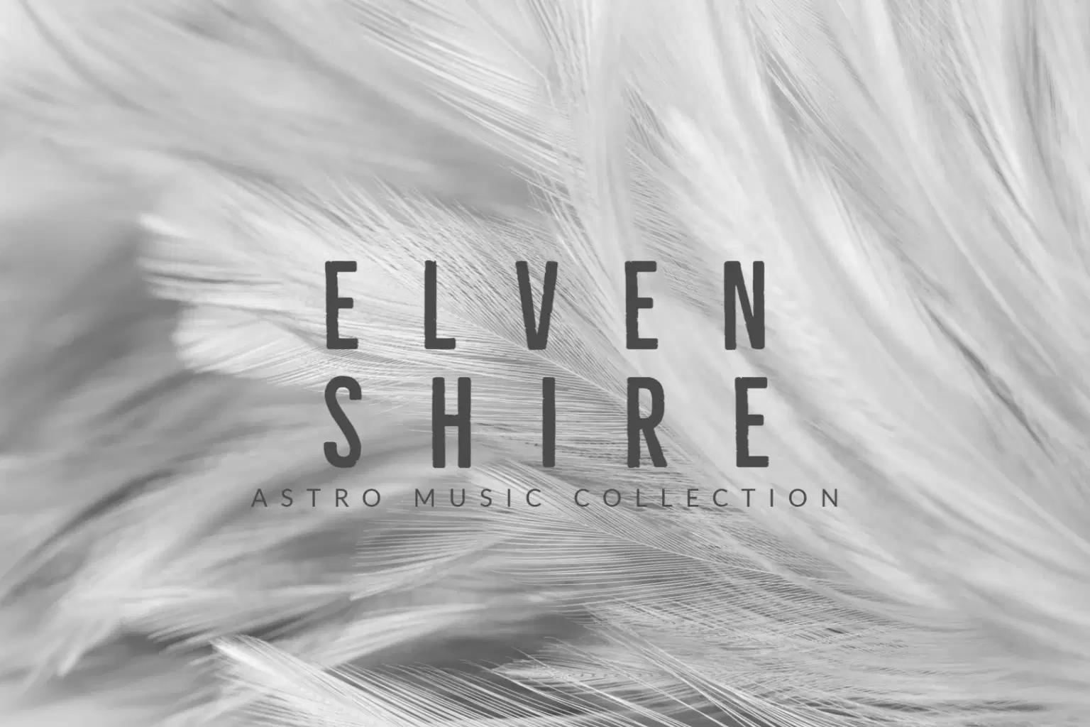 AM013 ELVEN SHIRE_cover.png