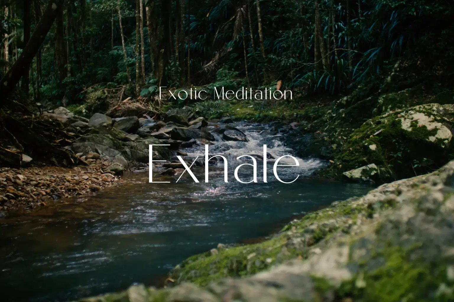 AY066 Exhale_cover.png